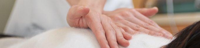 肩膊痛 / 肩週炎